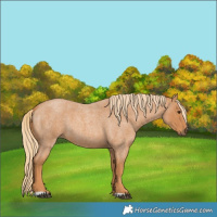 Horse Color:Red Roan