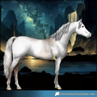 Horse Color:Gray Liver Red Dun Tobiano Rabicano  and Gray White Spotted Liver Red Dun Ice Splash Rabicano