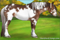 Horse Color:White Spotted Liver Chestnut Frame