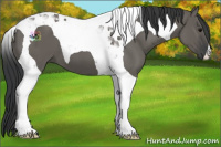 Horse Color:Grullo Tobiano 