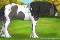 Horse Color:Grullo Tobiano 