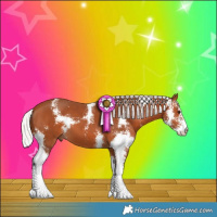 Horse Color:Silver Bay Sabino 