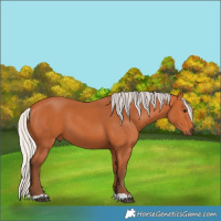 Horse Color:Silver Bay 