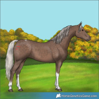 Horse Color:Silver Black Tobiano