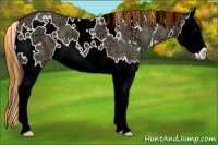 Horse Color:Painted White Spotted Smoky Grullo Ice Splash 