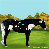 Horse Color:Cremello Dun Splash Tobiano 