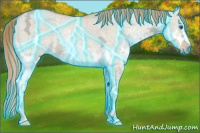 Horse Color:Thunderstruck Red Dun Ice Splash Rabicano 