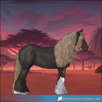 Horse Color:Liver Chestnut Tobiano 
