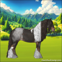 Horse Color:Liver Chestnut Tobiano 