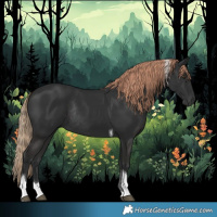 Horse Color:Liver Chestnut Tobiano Rabicano