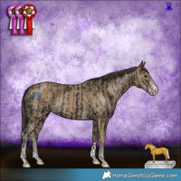 Horse Color:Smoky Black  and Classic Cream Champagne 