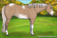 Horse Color:Silver Bay Dun Sabino Tobiano Frame Rabicano 