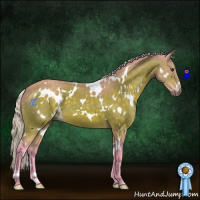 Horse Color:Watercolor White Spotted Silver Brown 