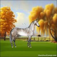 Horse Color:Gray Brown Dun Tobiano Appaloosa  and Gray Brown Dun Appaloosa Rabicano 