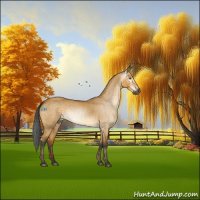Horse Color:Gray Void Buckskin Dun Sabino Rabicano