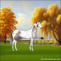 Horse Color:Gray Brown Dun Splash Tobiano Rabicano 