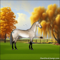 Horse Color:Gray Void Brown Dun Sabino Tobiano Appaloosa 
