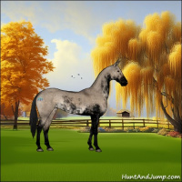 Horse Color:Void Brown Dun Sabino Appaloosa
