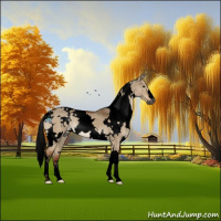 Horse Color:Gray Void White Spotted Brown Dun