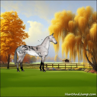 Horse Color:Gray Void Platinum White Spotted Bay Dun Tobiano Appaloosa Rabicano 
