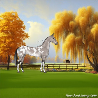Horse Color:Gray Platinum White Spotted Buckskin Dun Tobiano Blanket 