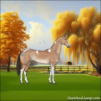 Horse Color:Brown Dun Sabino Tobiano Rabicano 