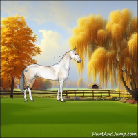 Horse Color:Gray Buckskin Dun Sabino Tobiano 