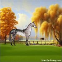 Horse Color:Gray Void Platinum White Spotted Bay Sabino Blanket Rabicano 