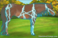 Horse Color:Thunderstruck Chestnut 