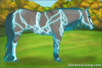 Horse Color:Thunderstruck Grullo 