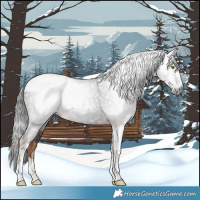 Horse Color:Gray Liver Chestnut Tobiano