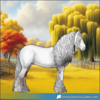 Horse Color:Gray Liver Chestnut Tobiano