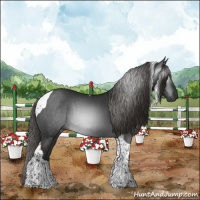 Horse Color:Gray Liver Chestnut Tobiano 