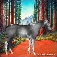 Horse Color:Gray Liver Chestnut Tobiano