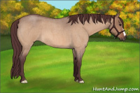 Horse Color:Chocolate Brown Roan Dun