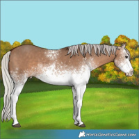 Horse Color:White Spotted Silver Brown Dun 