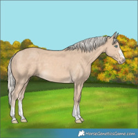 Horse Color:Cremello 