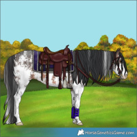 Horse Color:Brown Sabino