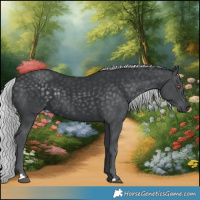 Horse Color:Silver Black Chinchilla 