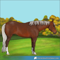 Horse Color:Silver Brown 
