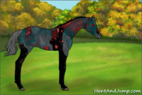 Horse Color:ERROR: UNKNOWN ANOMALY