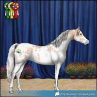 Horse Color:White Spotted Silver Classic Champagne 