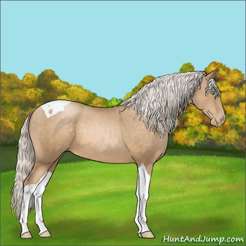 Horse Color:Silver Smoky Black Pearl Tobiano 