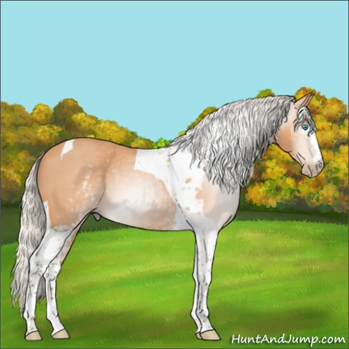 Horse Color:Gray White Spotted Silver Perlino Tobiano 