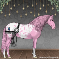 Horse Color:Watercolor Black Appaloosa 