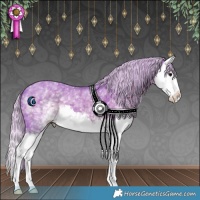 Horse Color:Watercolor White Spotted Silver Black Splash 