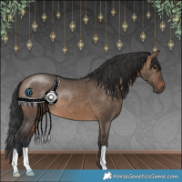 Horse Color:Brown Dun 