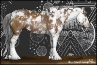 Horse Color:Liver Chestnut Sabino Rabicano 