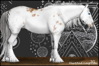 Horse Color:Bay Sabino Splash 