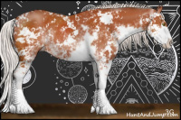 Horse Color:Silver Bay Sabino Rabicano 